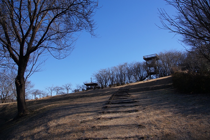 0126-4.jpg