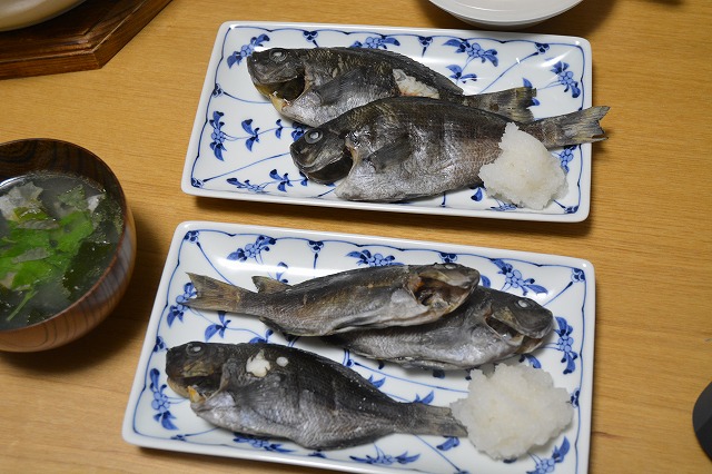 showPhoto (640×426)