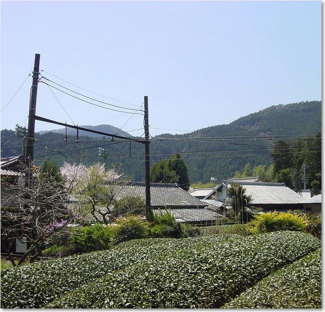 06茶の国鉄道.JPG