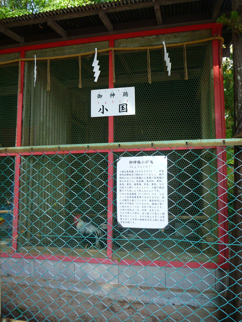 20141020 11183101.jpg