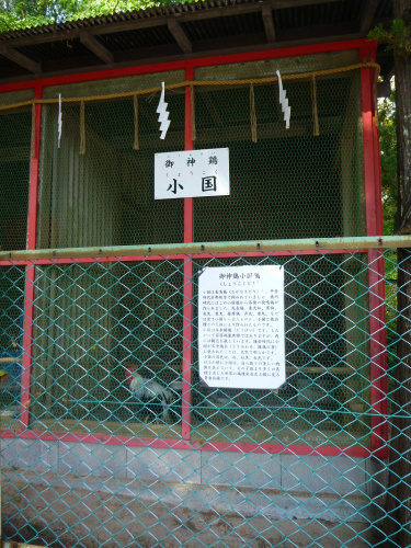 20141020 11183101.jpg