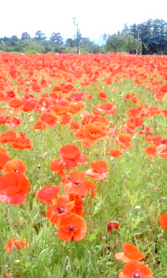 PA0_0284.JPG