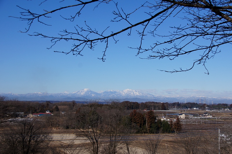 0126-1.jpg