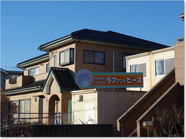 15ラブアンドピース