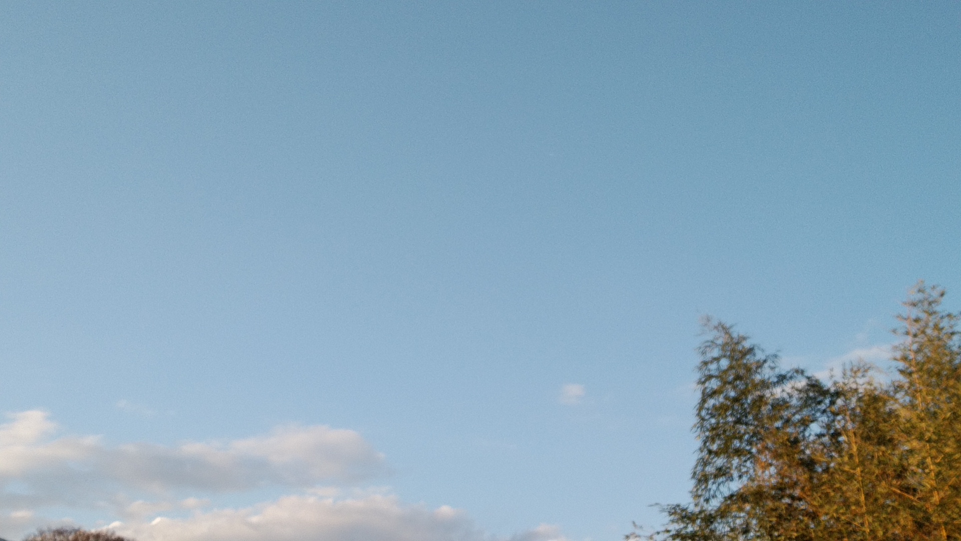 20180324  DSC_0003.jpg.jpg