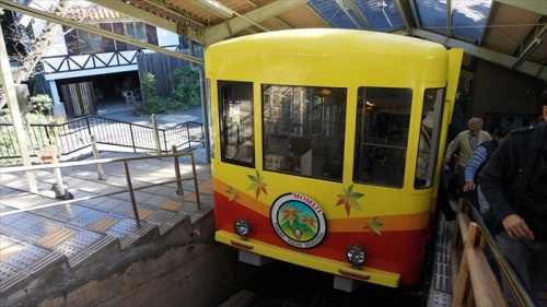 20151025 08595801.JPG