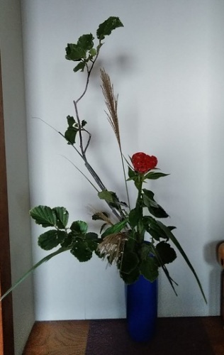 万作の瓶花 いけばな いけばな日記 楽天ブログ