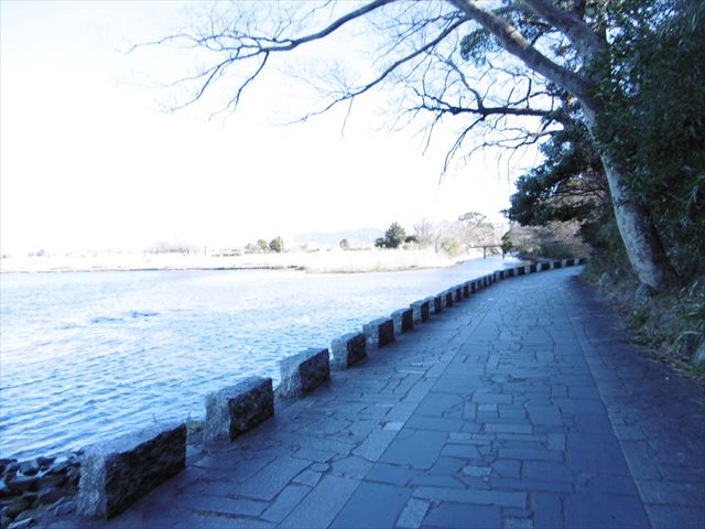P1000952_R.JPG