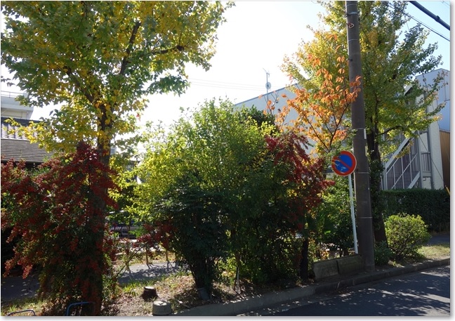 24左にプチ紅葉