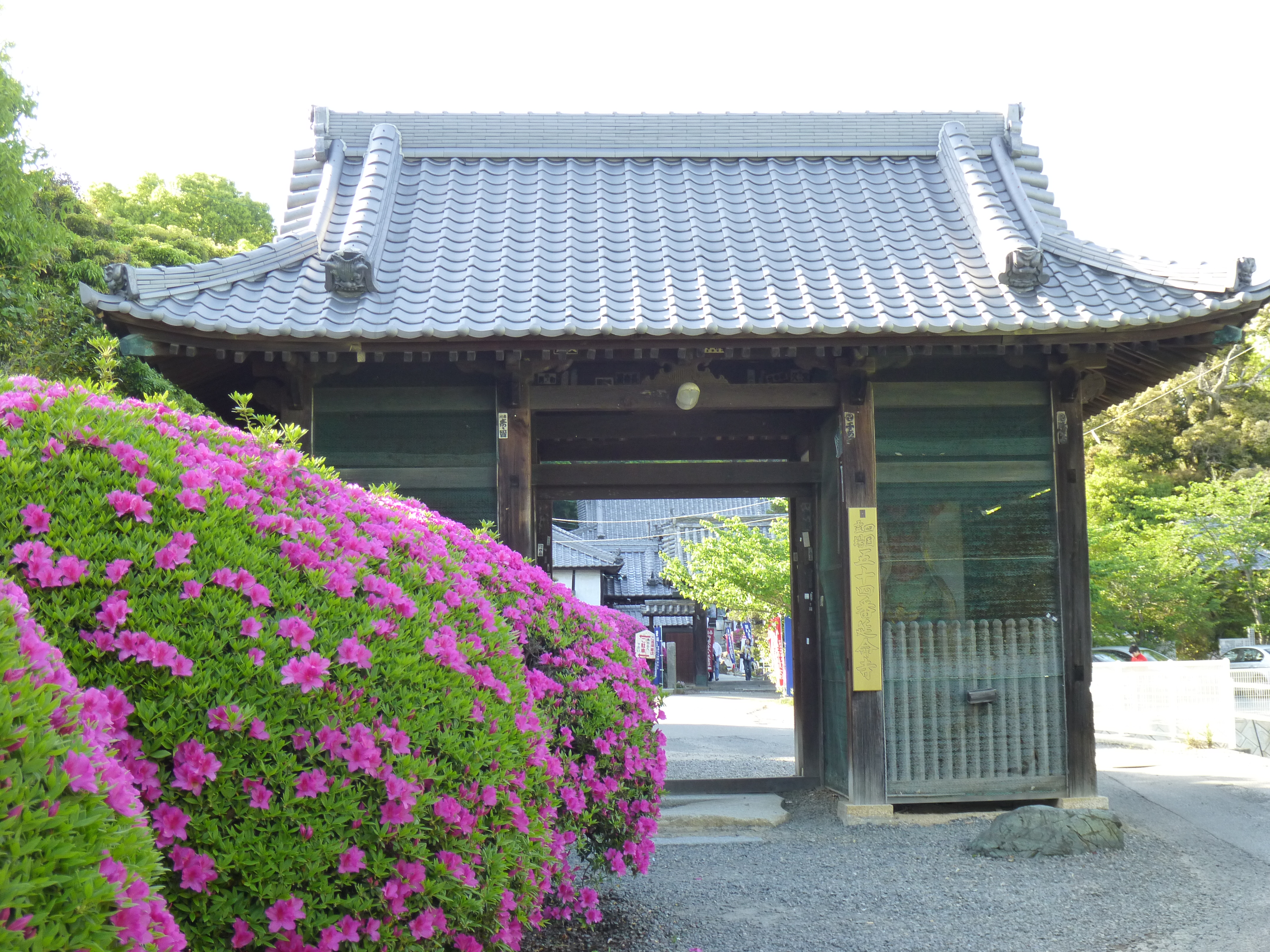 P1000162延命寺.JPG