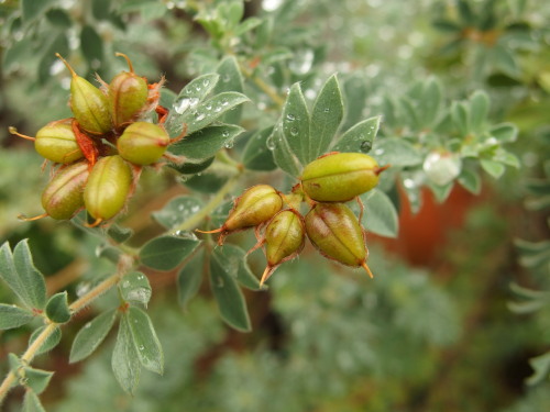 2015-06-27 14.33.12.jpg