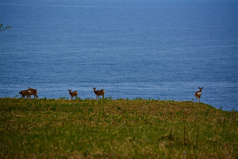 DSC_0620.jpg