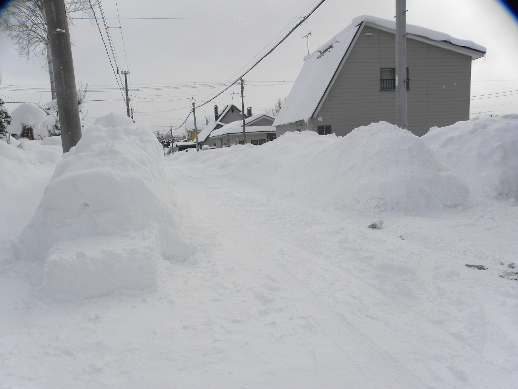 DSCN0322.JPG