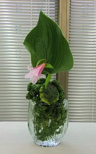 米山美砂子先生e