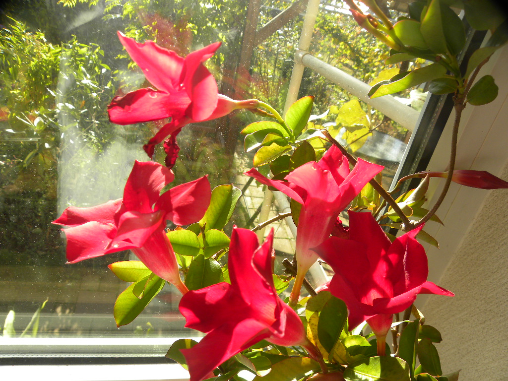 DSCN9453.JPG