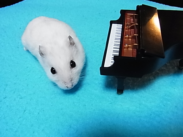 2014_06150815.JPG