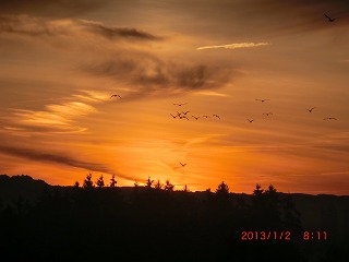 02 sunrise 0811.jpg