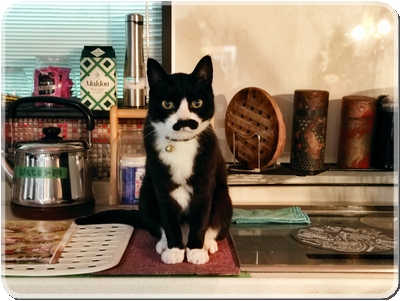 Mustache君（2025.05.24）.jpg
