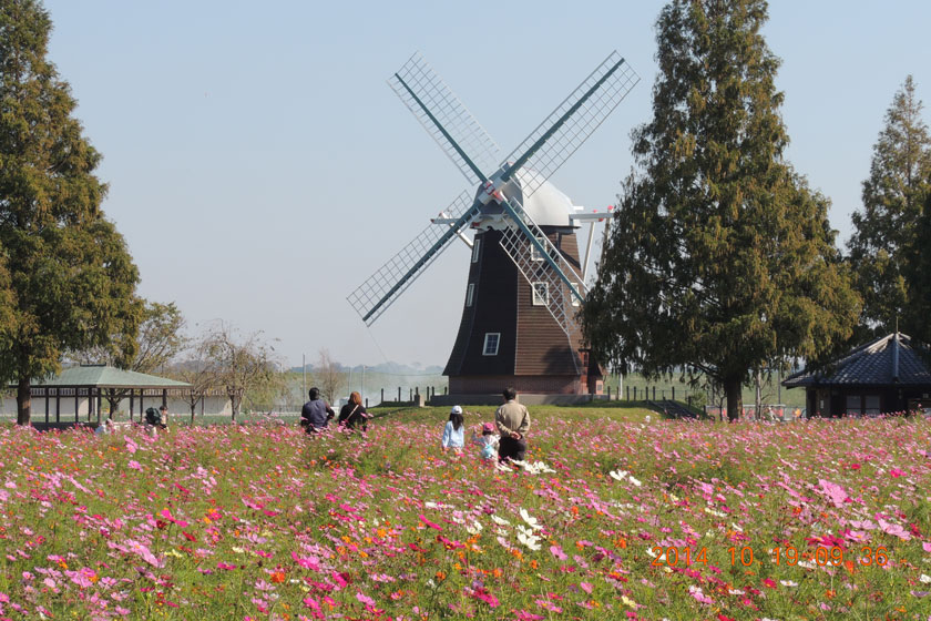 cosmos2014-012w.jpg