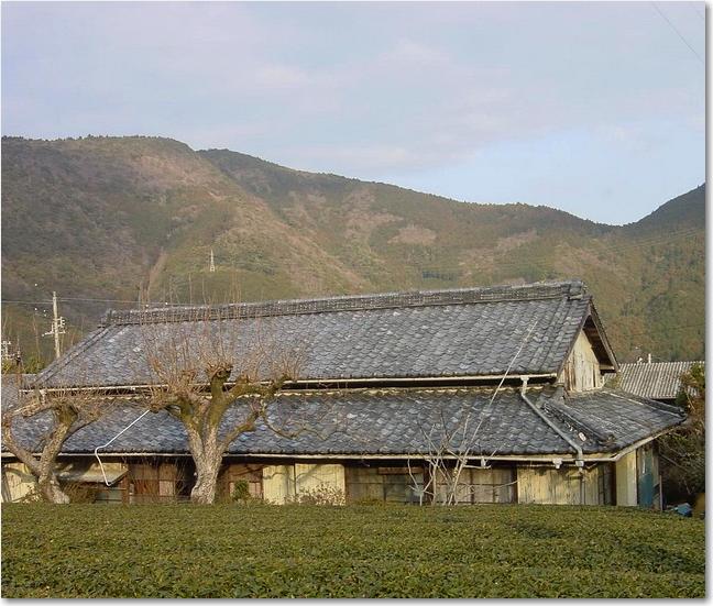 73茶畑家屋.JPG