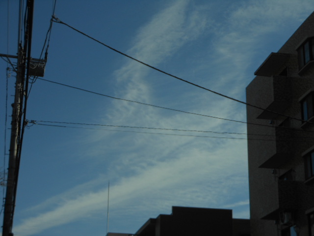 DSCN2120.JPG