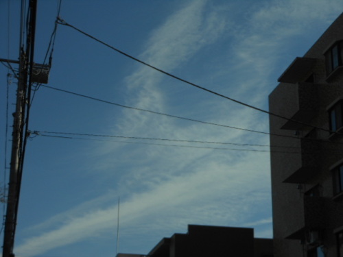 DSCN2120.JPG