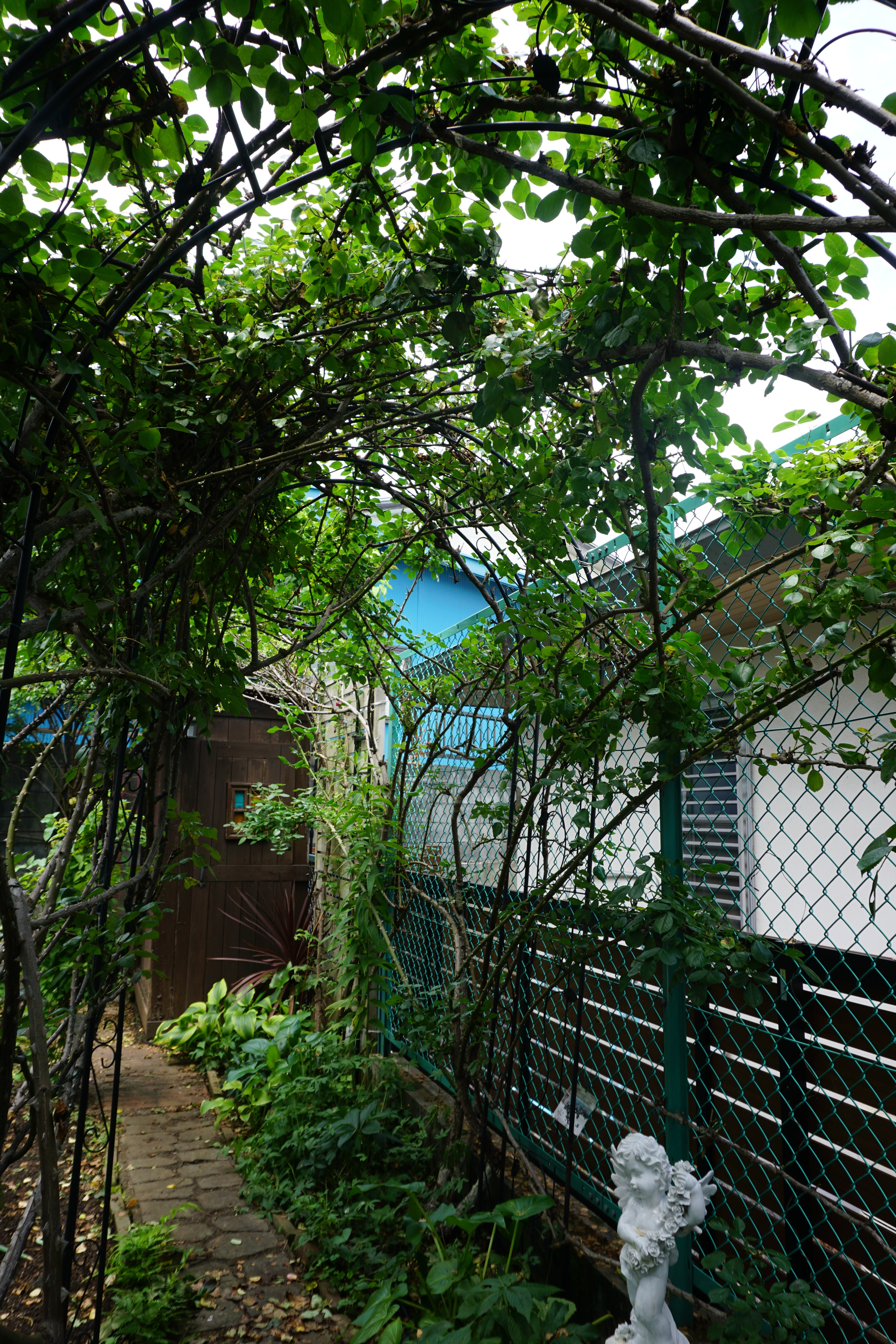 2025年6月1-6.JPG