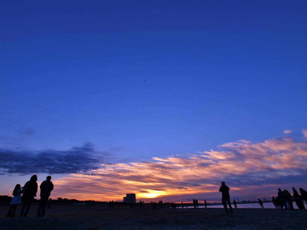 R0014379 (1024x768).jpg