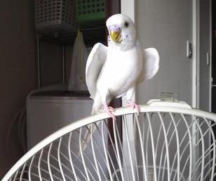 暑中見舞い(V.2013_07_15__01_10_58).jpg