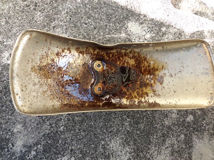 モンキー (15).JPG