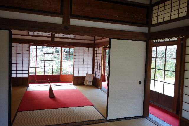 DSC04809.JPG