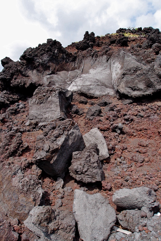 P8032409 (683x1024).jpg