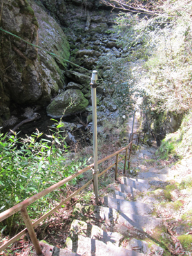 IMG_1337-1.JPG