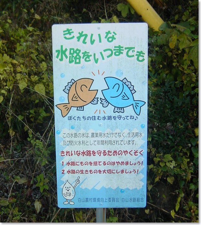 05きれいな水路を・・・