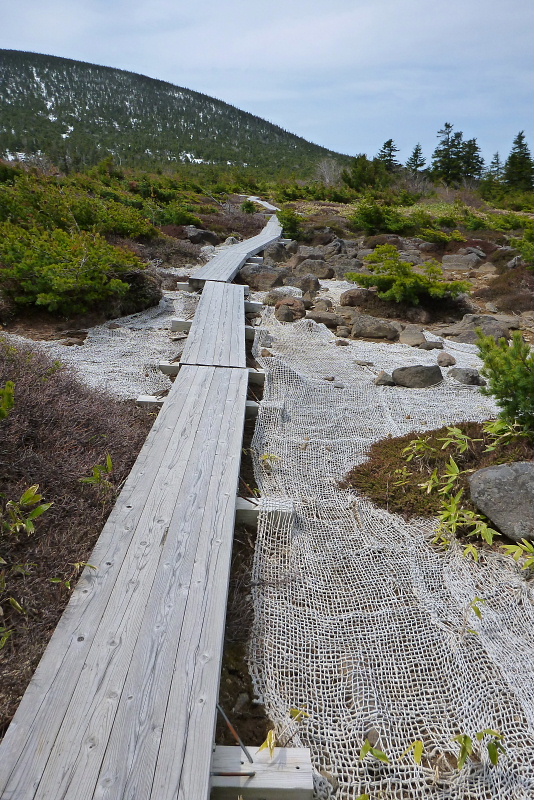一切経山・東吾妻山4320140524.jpg