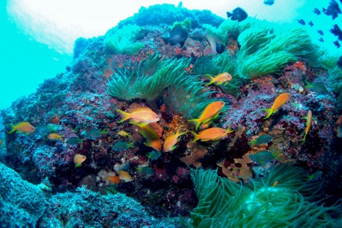 P8012174 (1024x681).jpg