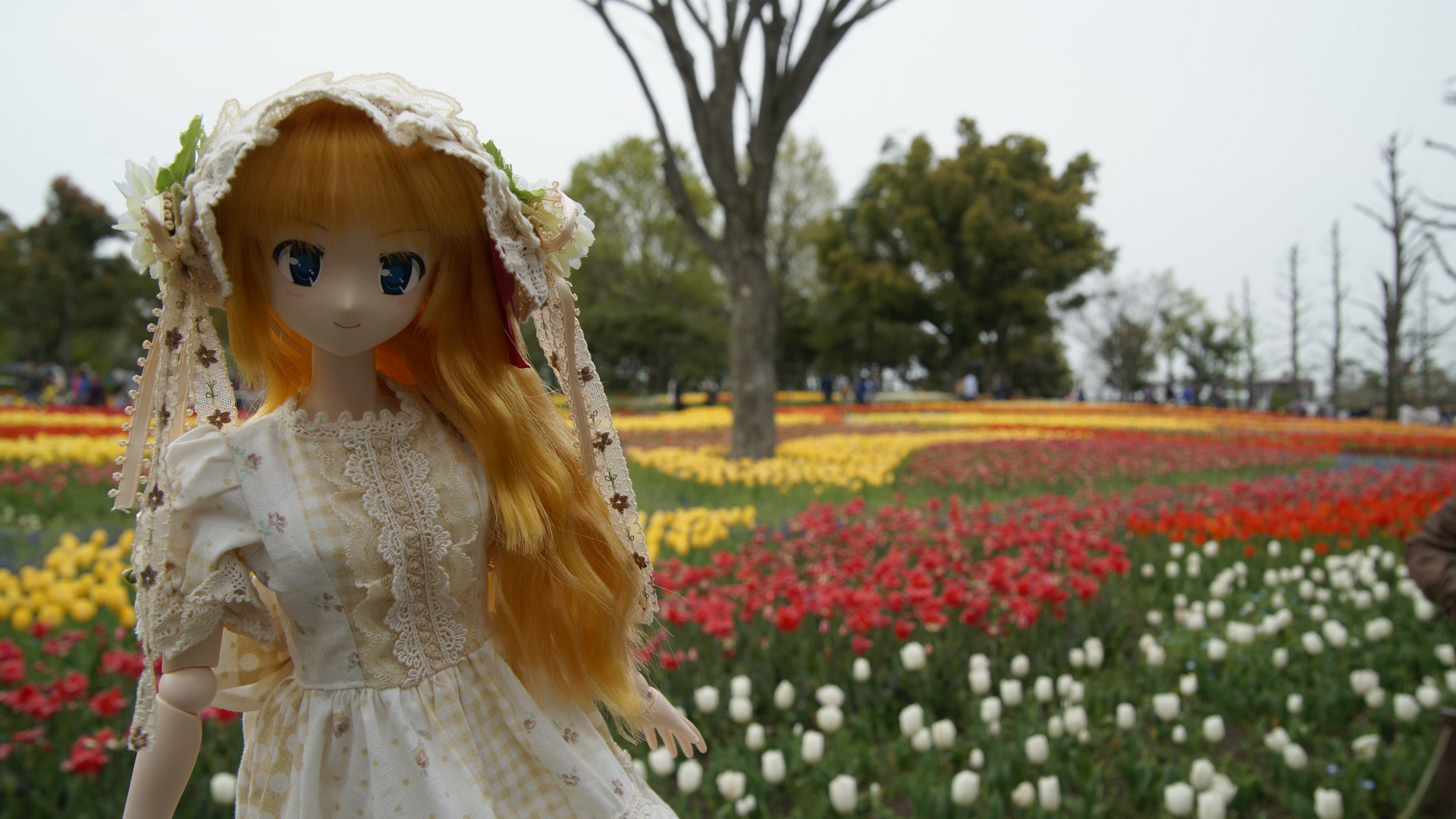 木曽三川公園チューリップ  瑛里華3.jpg