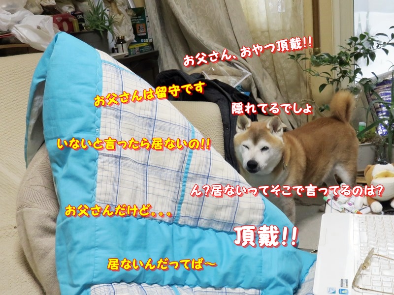 けんたから隠れるお父さん.jpg