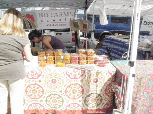 ２０１２年ハワイ２ 453.jpg