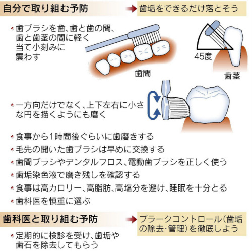 歯垢予防.JPG
