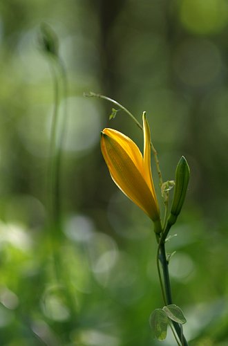 0508-7.jpg