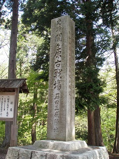P4290054.jpg