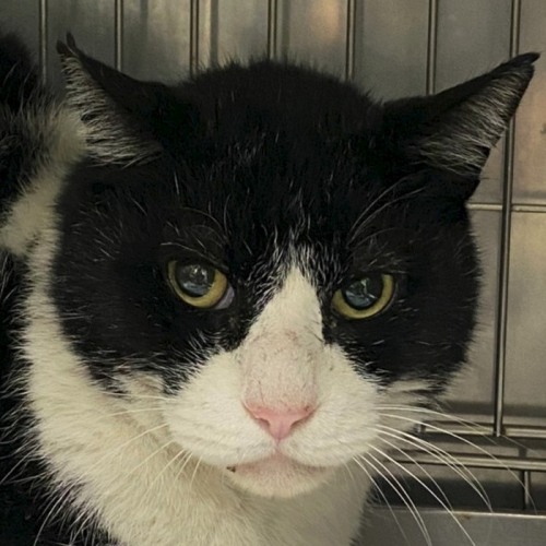 家族紹介用画像フォルダ