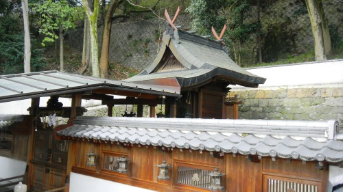 須波麻神社 (7).JPG