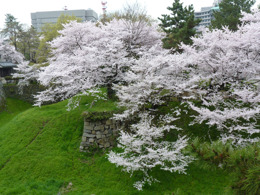 nagoyajyo-w019.jpg