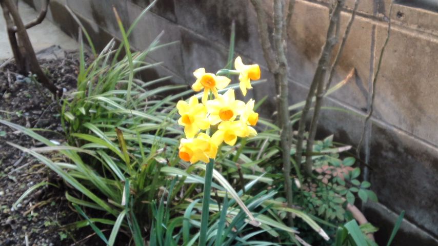 mini_160131_1531.jpg