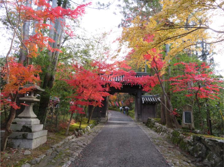 赤山禅寺 (3).jpg