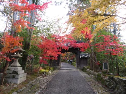 赤山禅寺 (3).jpg
