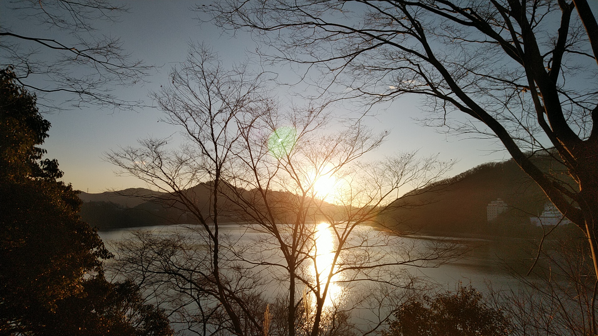 20210119  DSC_0004.jpg.jpg