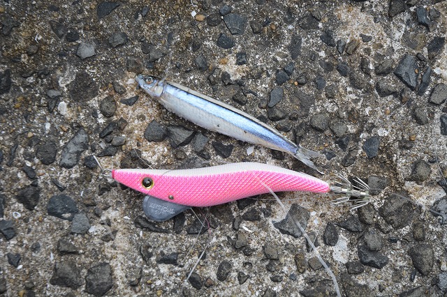 showPhoto (640×426)